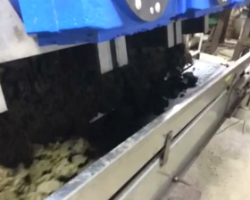 美國herrema奶牛場廢水處理現(xiàn)場